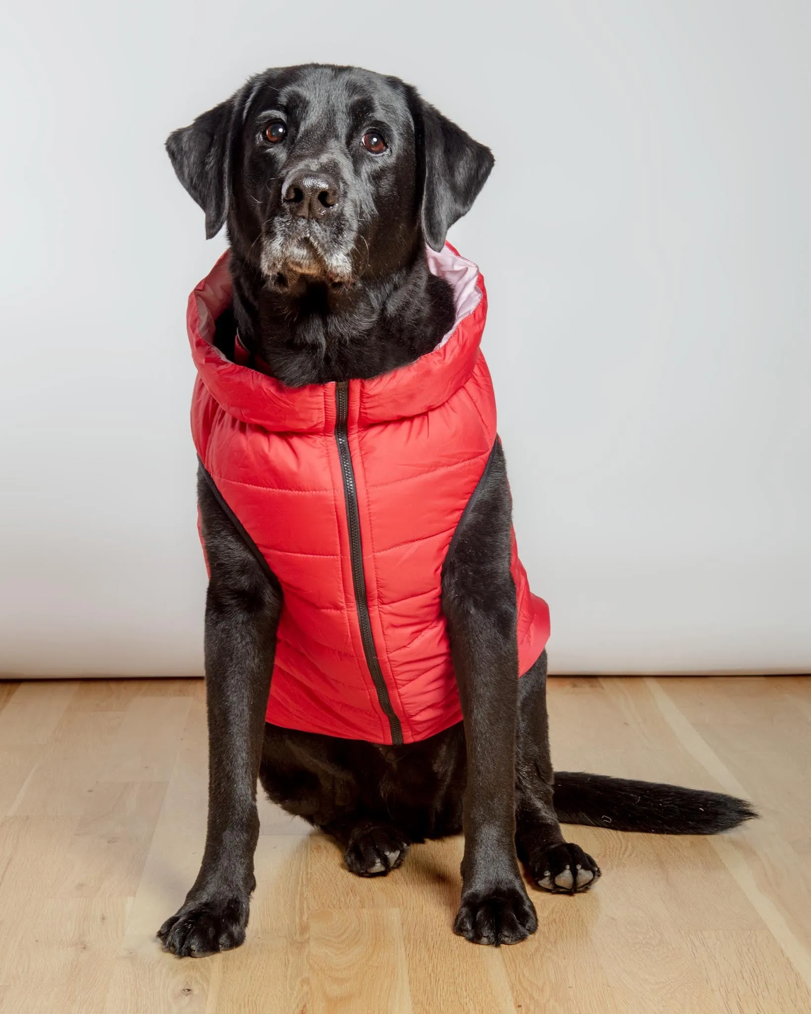 Reversible AiryVest in Strawberry   Blush (DOG & CO. Exclusive) (FINAL SALE)